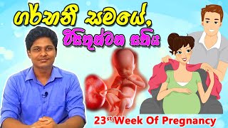 Pregnancy 23rd Week | Sinhala Medical Review | අම්මයි බබයි