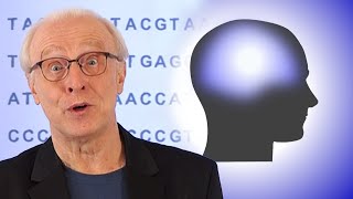 INFORMATIONSERHALTUNG | #4 Das rätselhafte Gewebe der Wirklichkeit