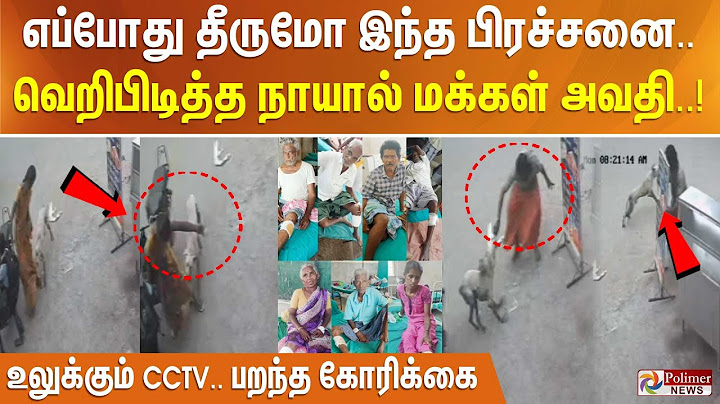எப்போது தீருமோ இந்த பிரச்சனை.. வெறிபிடித்த நாயால் மக்கள் அவதி.. உலுக்கும் CCTV.. பறந்த கோரிக்கை..!