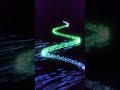 Chroma Path: The Future of Motion in 15 Seconds 🌈✨