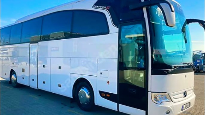 Erkak itlar bilan jinsiy aloqa qilish (yopishtirish)