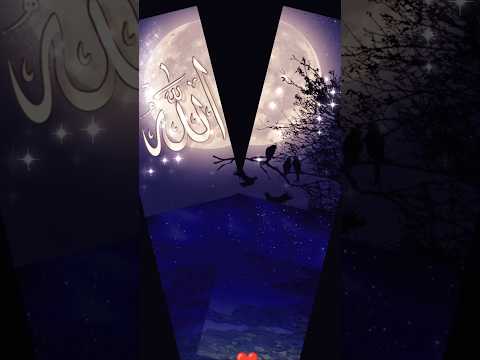 Islamic Tik Tok Naat Sharif Video Shorts Naatsharif Video Status Islamic Islam Naat