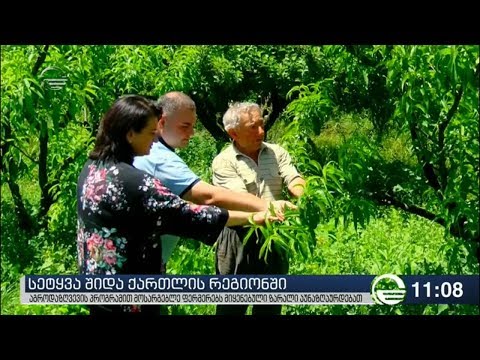 საოკუპაციო ხაზთან მდებარე სოფლებში ფერმერებს სეტყვით მიყენებული ზარალი აუნაზღაურდებათ