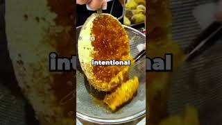 What's the most ridiculous reason you found yourself in court? Net Worth