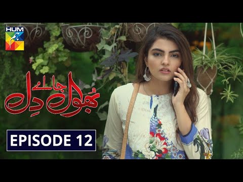 Bhool — Episode 12