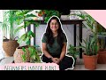 6 Indoor Plants for Beginners ( Hindi )