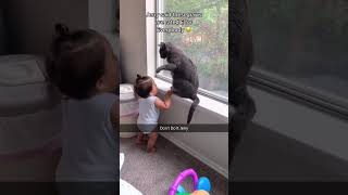 Funny Pets | 2023😂 Funny Dogs And Funny Cats Videos 🐱 🐕 😄 #30