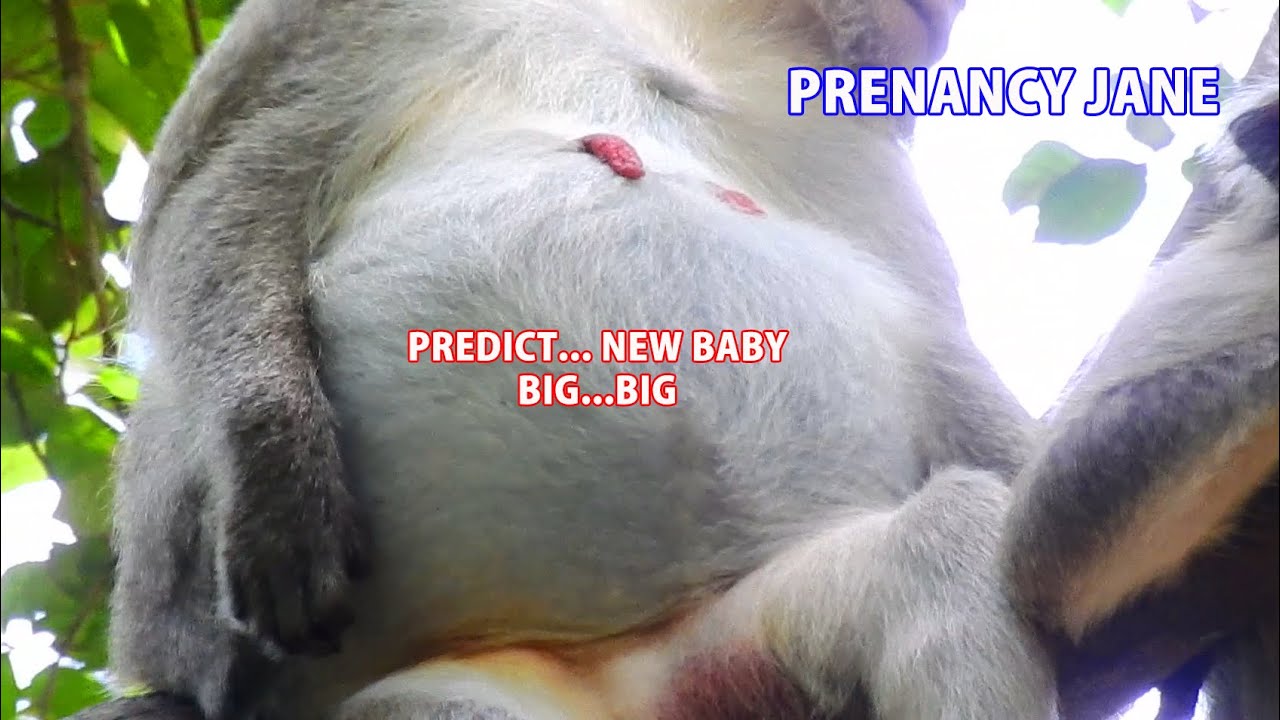 HOPE...PREGNANCY JANE GOOD HEALTH ! PREDICT...NEW BABY'S JANE BIG...BIG & HOPE GOOD HEALTH BOTH