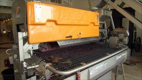 Pellenc Selectiv Process Winery Destemmer and Berry Sorter