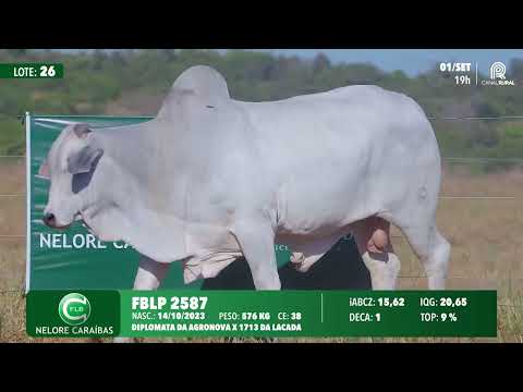 Lote 26   FBLP 2587