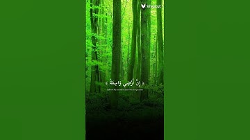 # القرآن الكريم # أكتب شيء تؤجر عليه ❤❤