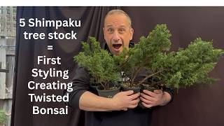 Starting Bonsai - 5 juniper stock becomes twisted bonsai future tree How to do it