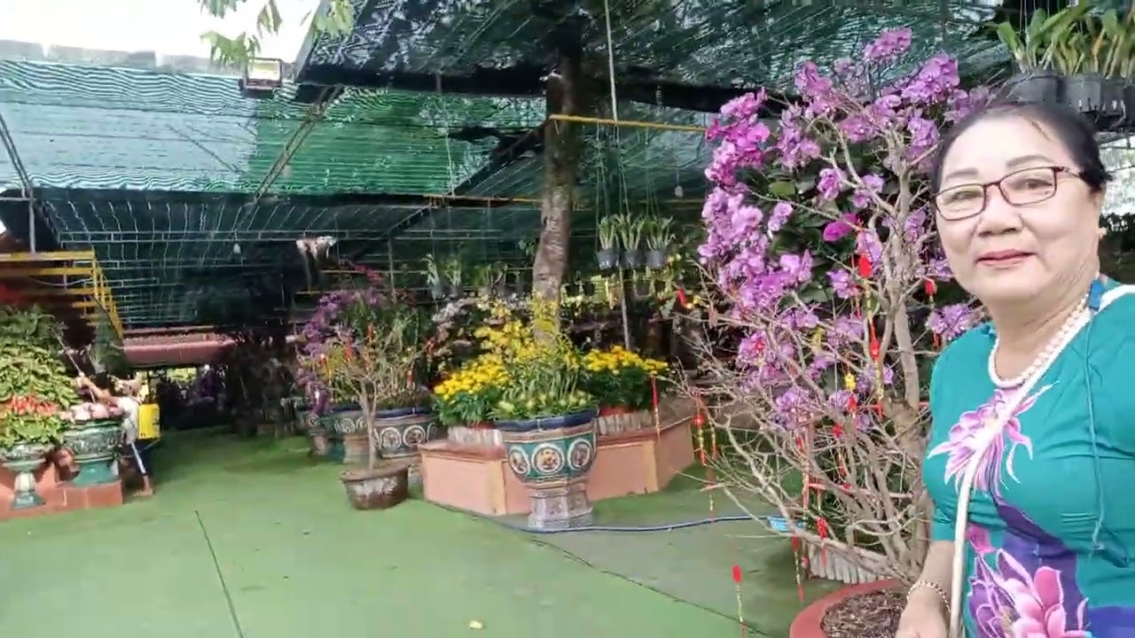 Đi Chùa Vạn Phước  28 Tết Bính Ngọ.