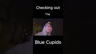 Blue Cupids #sydneyvlog #exploringvlog
