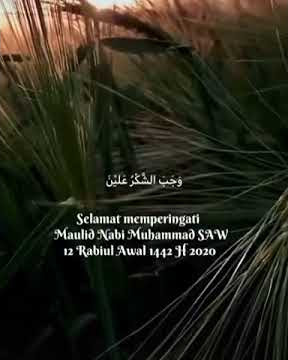 Story WA santri || Hari Lahir Nabi Muhammad SAW || 12 Rabiul Awal 1442 H