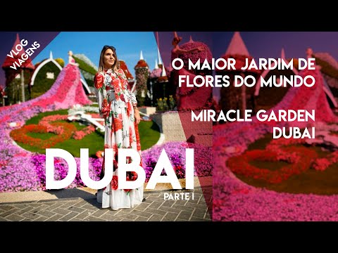 Vídeo: Maravilha árabe Do Mundo: Parque De Flores Em Dubai