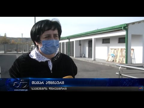 თუ გყავთ ძაღლი ან კატა და ქუჩაში მიატოვებთ, 500 ლარით დაჯარიმდებით