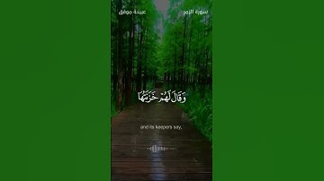 وَسِيقَ الَّذِينَ اتَّقَوْا رَبَّهُمْ إِلَى الْجَنَّةِ زُمَرًا ۖ** تلاوة تخشع لها القلوب سكينة وراحة