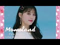 Momoland Pinky love line Distribution