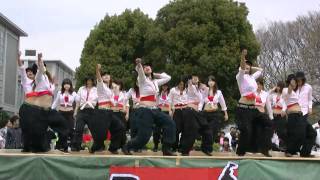Revolve オリエン中庭2010 Pankin'