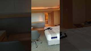 MARINA BAY SANDS HOTEL -STUDIO  (FAMILY) ROOM
