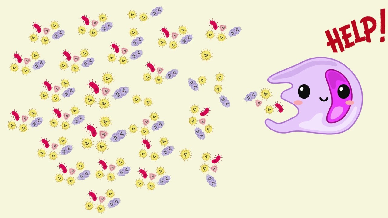 Дархлаа гэж юу вэ?