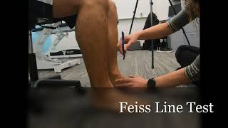 Feiss Line Test