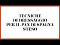 Tecniche di dressaggio per il Pan di Spagna steso