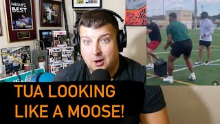 Tua Tagovailoa Looking Like A Moose In Offseason Workouts With Miami Dolphins Wide Receivers!