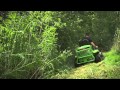 Etesia famille attila  faucheuses  dbroussailleuses