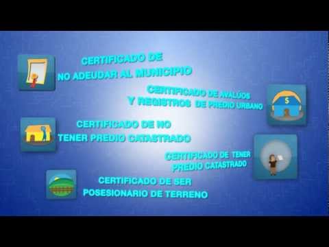 Alcaldia De Guayaquil Pasos Para Obtener Certificados