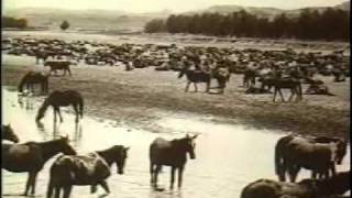 11 - Creating The BLM