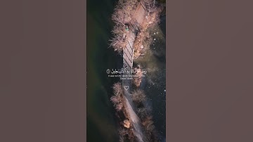 ياسر الدوسري سورة الشعراء #ياسر_الدوسري #سورة_الشعراء #quran #المصحف #رمضان #اكسبلور #حالات_واتس