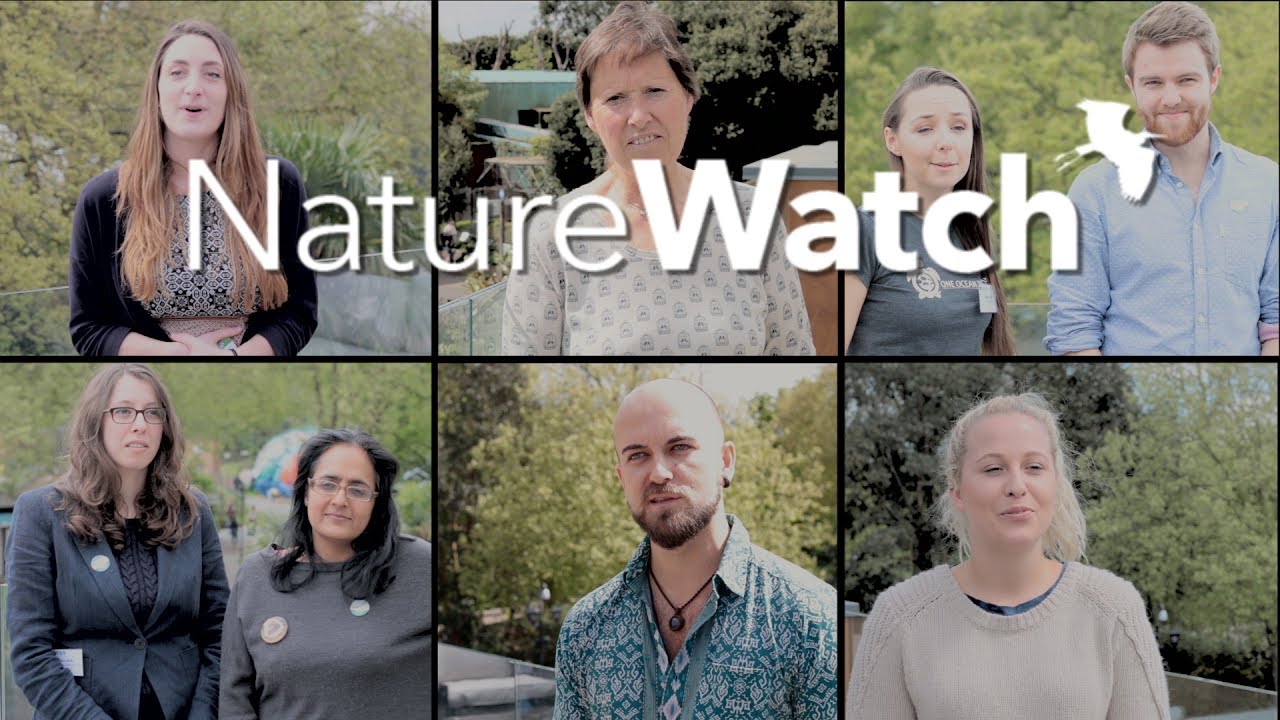 optimismo NatureWatch @ Conservation Optimism 2017