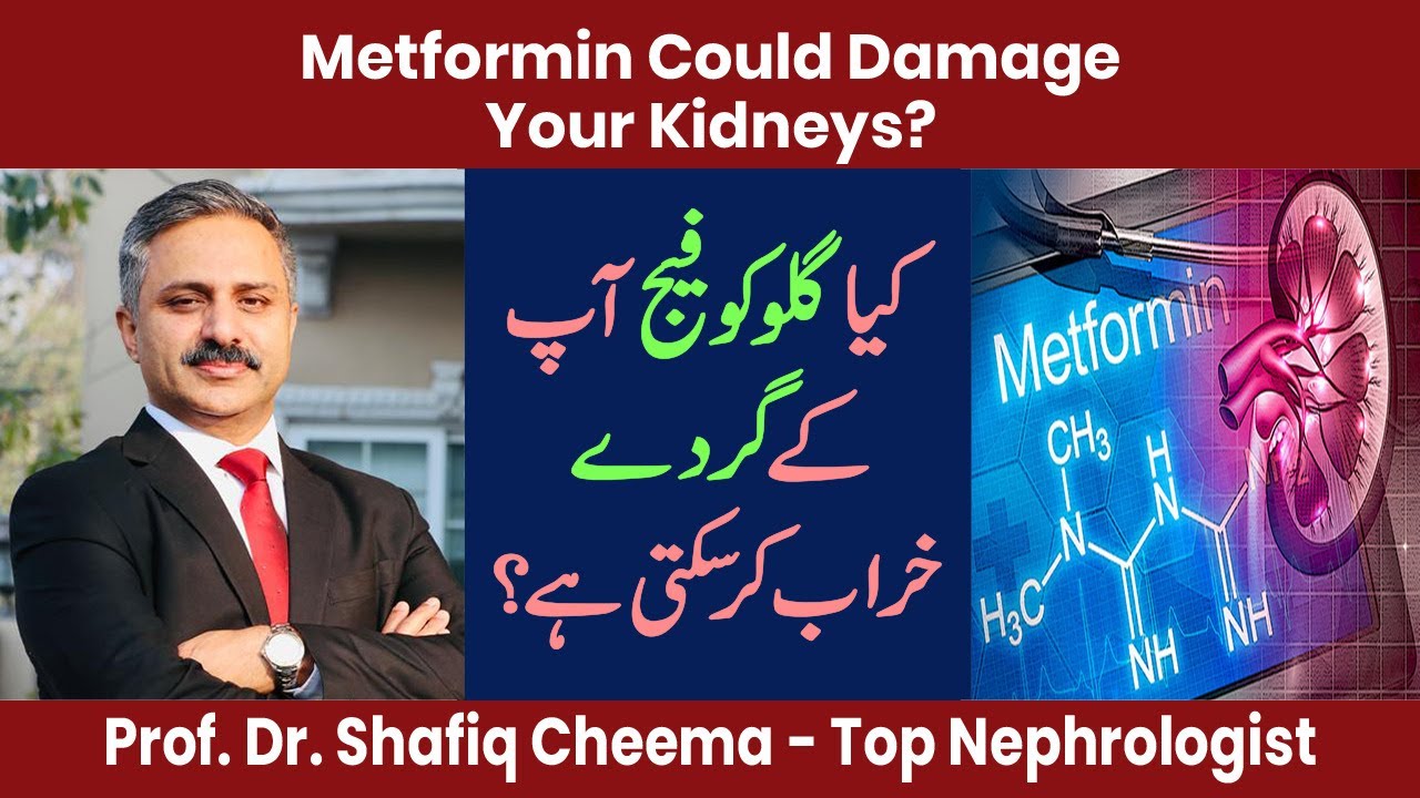 Metformin/Glucophage Could Damage Your Kidneys?