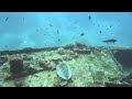 NOVA Maldives Wreck DIVE Turtle GoPro