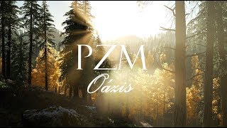 Vignette de la vidéo "PZM-Oázis (Hivatalos Szöveges Videó)"