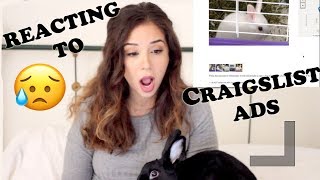 REACTING TO RABBIT ADS ON CRAIGSLIST