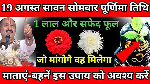 19 अगस्त सावन सोमवार पूर्णिमा तिथि को एक लाल और सफेद फूल वाला उपाय जरूर करें।। Pradeep ji Mishra