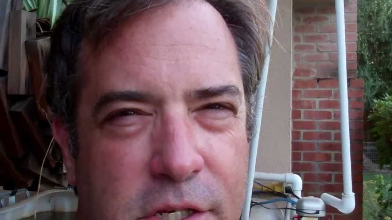 Growing sweet potato slips in Aquaponics - YouTube