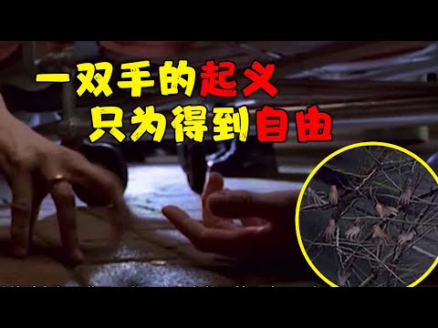 分分钟看电影：9分钟带你看完美国恐怖电影《夜半路惊魂》