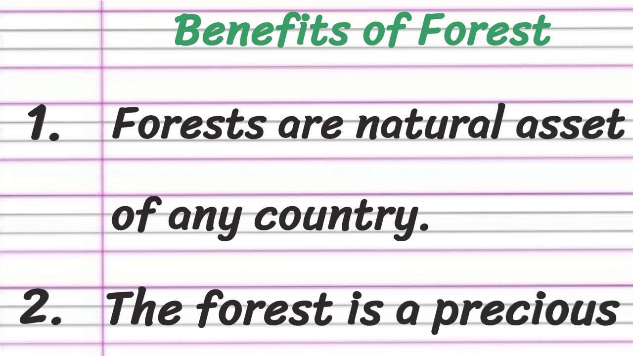 essay benefits of forest