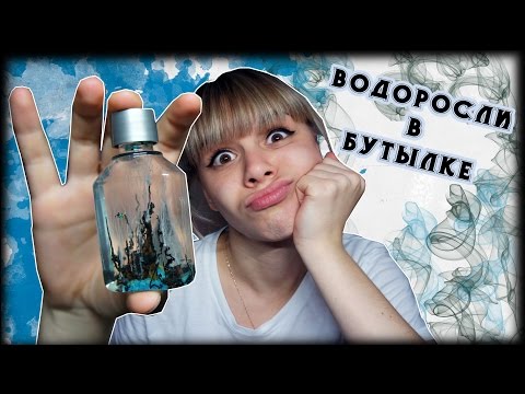 Как вырастить водоросли? Коллоидные водоросли/химические