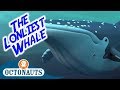Octonauts - The Lonliest Whale | Full Episode | Cartoons for Kids