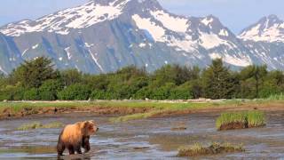 Expeditions Alaska 2012 - a year in Alaska