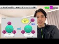 マラソンランナーの「エネルギー代謝」を学ぼう【有酸素系・解糖系・ATP-CP系】