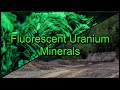 Finding fluorescent uranium minerals w radiacode 102 and raysid