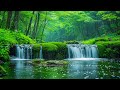 Soothing music for nerves🌿 healing music for the heart and blood vessels, relaxation, music for soul