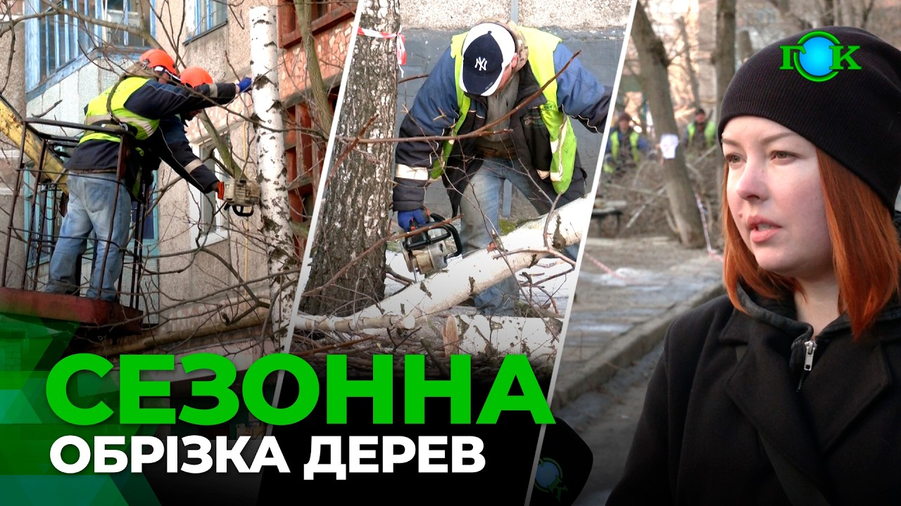 КП «СпецЕко» обрізає сухі та аварійні дерева