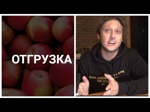 Видео: Оптовый бизнес: видео с отгрузки / Статистика по яблокам / Война грузчиков